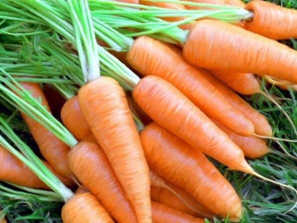 carrots and carrot oil for skin rejuvenation